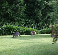 Bundanoon 2578 - Foster Accommodation