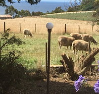 Cape View B and B - Foster Accommodation