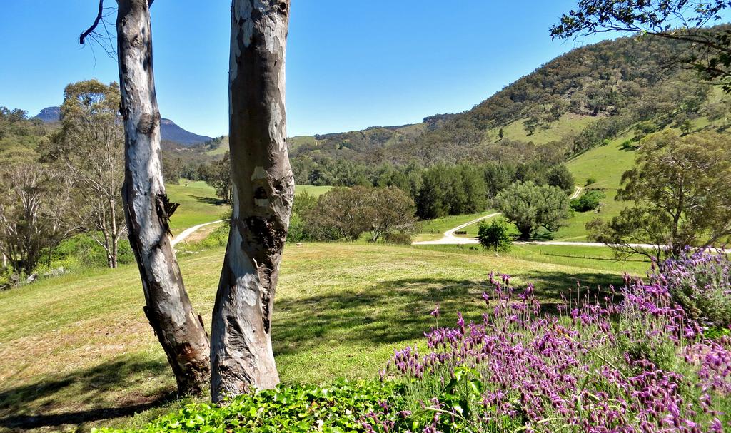 Glen Davis NSW Foster Accommodation