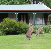 Cedar Lodge Cabins - Foster Accommodation