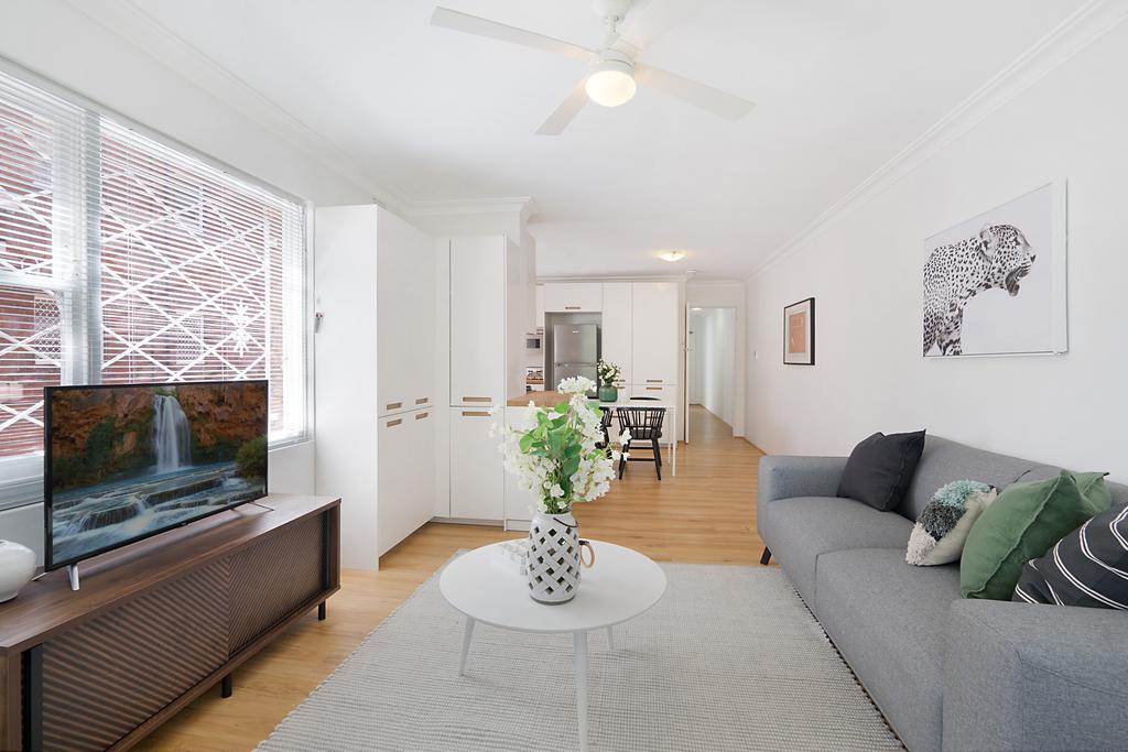 Ashfield NSW Foster Accommodation