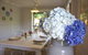 Cherry Cottage - Leura - thumb 1