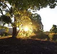 Clarendon Forest Retreat - Foster Accommodation