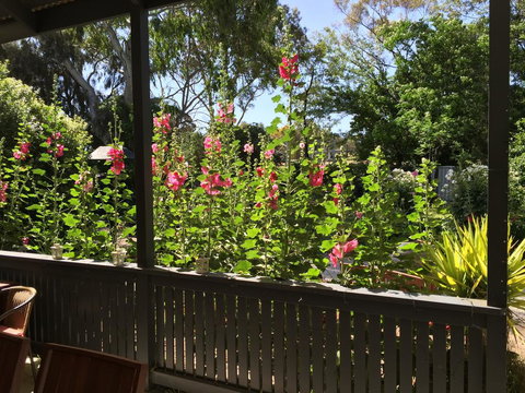 Clarevale Cottage B&B - Foster Accommodation 1