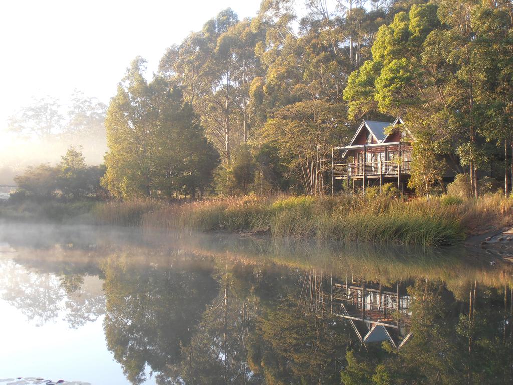 Evergreen QLD Foster Accommodation