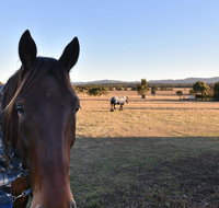 Clydesdale Cottage on Talga with real Clydesdale Horses - Foster Accommodation