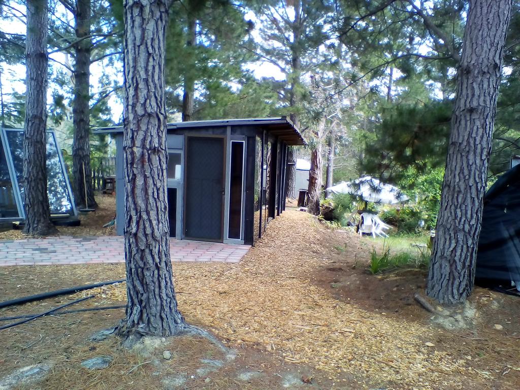 Hartley NSW Foster Accommodation