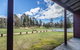 Currango Cottages - thumb 3