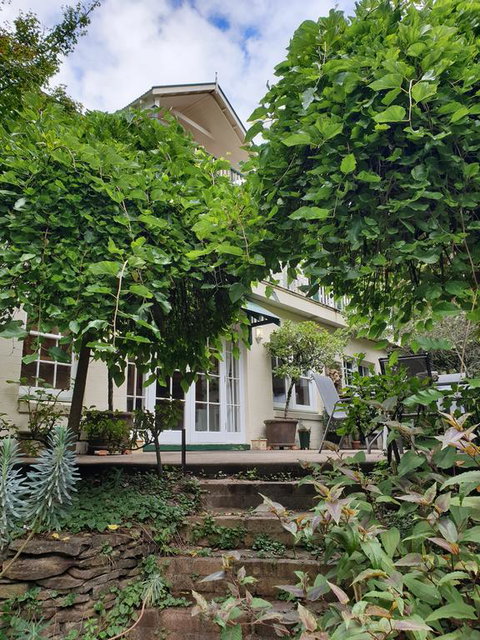 Davaar Hideaway Leura - Foster Accommodation 0