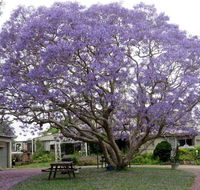 Ecotel Narooma - Foster Accommodation