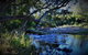 Eighteen Mile Cottage - thumb 1