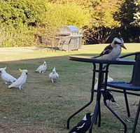 Eildon Parkview Motor Inn - Foster Accommodation