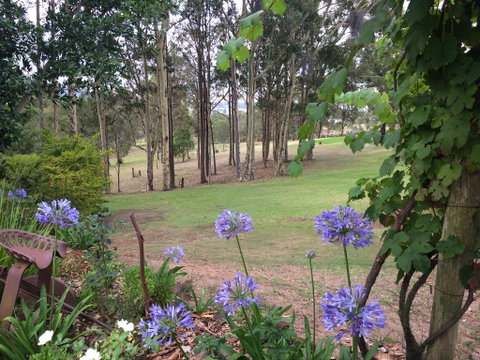 Elfin Hill Vineyard Accommodation - Foster Accommodation 2