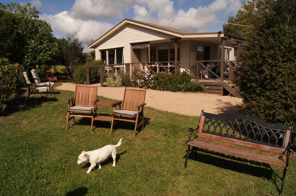  Foster Accommodation