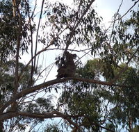 Escape to the Country - Enjoy the firepit or explore magical Bunya Mountains - Foster Accommodation