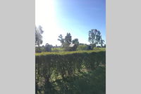 Book Benalla Accommodation Vacations Foster Accommodation Foster Accommodation
