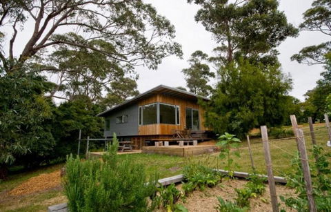 Flounder - Foster Accommodation 1