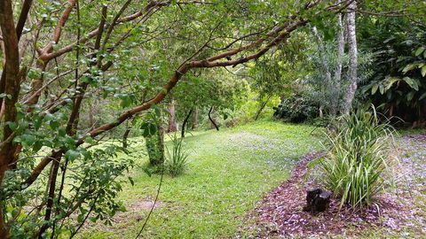 Forest View Bungalow - Foster Accommodation 1