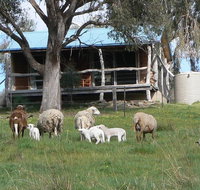 Gaddleen Grove Cottages - Foster Accommodation