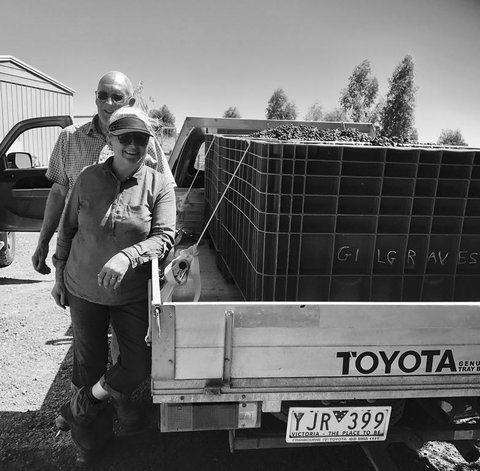Gilgraves Vineyard Farmstay - Foster Accommodation 2