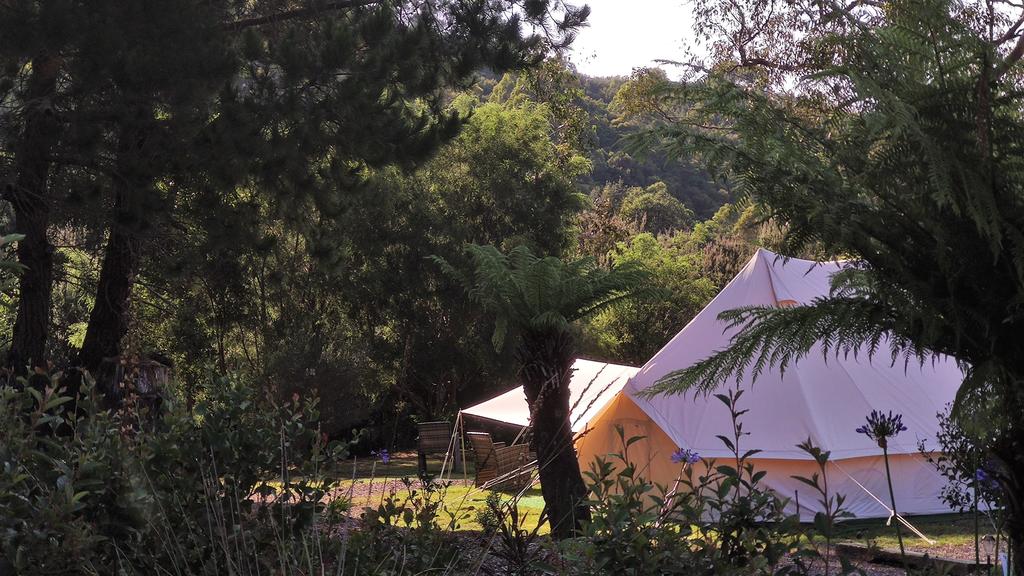 Zeehan TAS Foster Accommodation