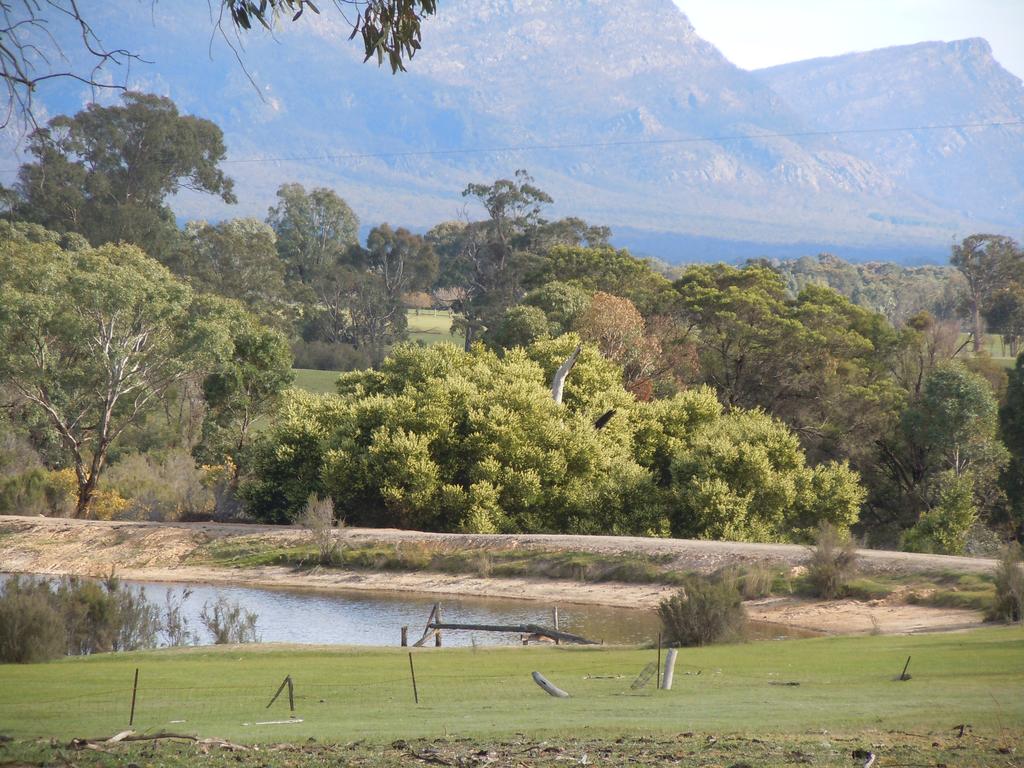 Illawarra VIC Foster Accommodation