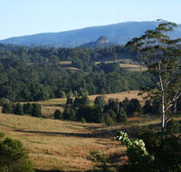 Grey Gum Lodge - Foster Accommodation