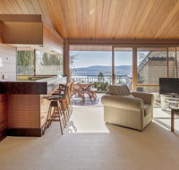 Grey Kangaroo- On Lake Jindabyne foreshore - Foster Accommodation