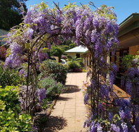 Gumtree House Montville - Foster Accommodation