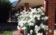 Gundaroo Manor Bed & Breakfast - thumb 3