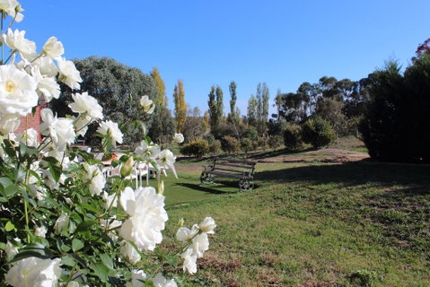 Gundaroo Manor Bed & Breakfast - Foster Accommodation 2