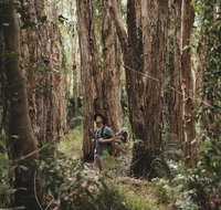 Habitat Noosa - Foster Accommodation