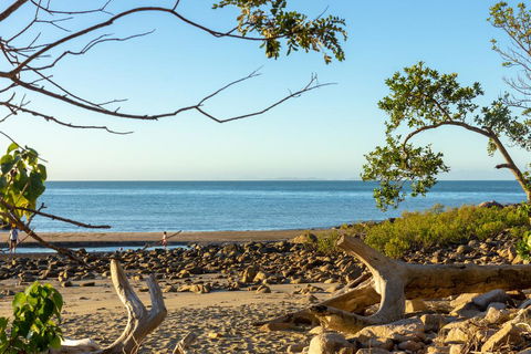 Halliday Bay Resort - Foster Accommodation 1