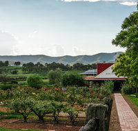 Hanging Tree Wines - Foster Accommodation