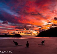 Heather's Mica Cottage - Foster Accommodation