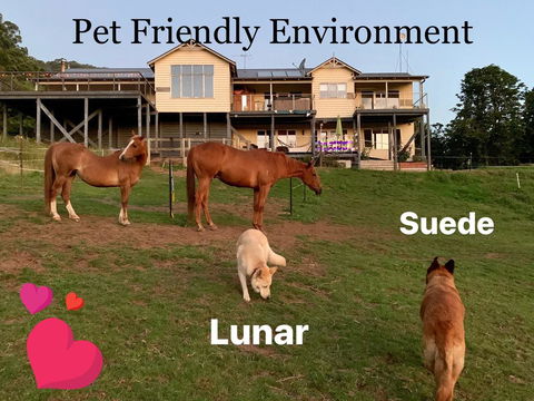 Heavenly Retreat B&B - Foster Accommodation 1