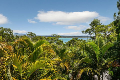 Hidden Rainforest Oasis, Little Cove - Foster Accommodation 2