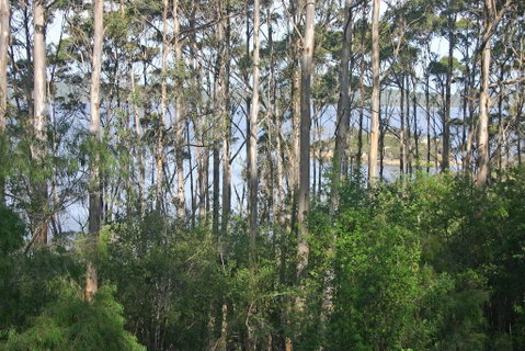 Honeymoon View - Foster Accommodation 2
