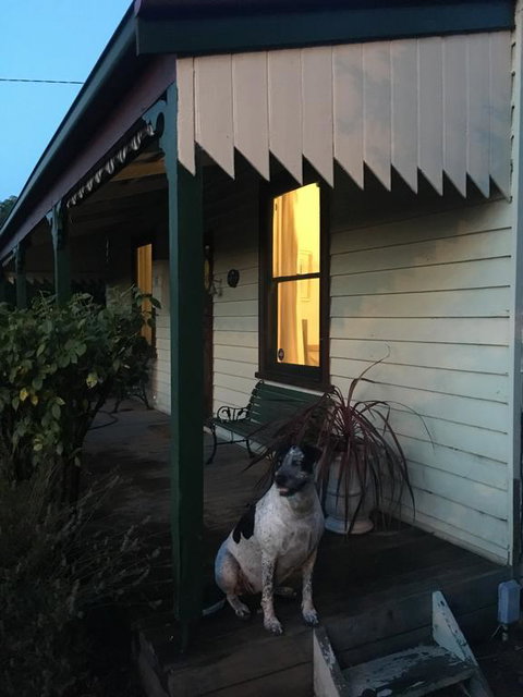 Kaikora Seaside Cottage - Foster Accommodation 1