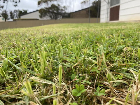 Karoonda Accommodation - Foster Accommodation 0