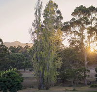 Karribank and the Karri On Bar - Foster Accommodation