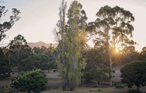 Karribank And The Karri On Bar - Foster Accommodation 0