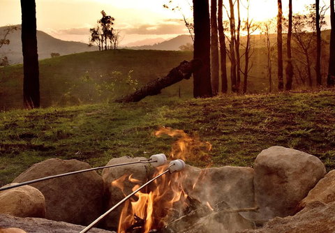 Ketchup's Bank Glamping - Foster Accommodation 2