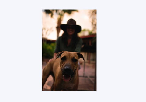 Kimberley Croc Motel - Foster Accommodation 1