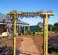 Lavendale Farmstay and Cottages York - Foster Accommodation
