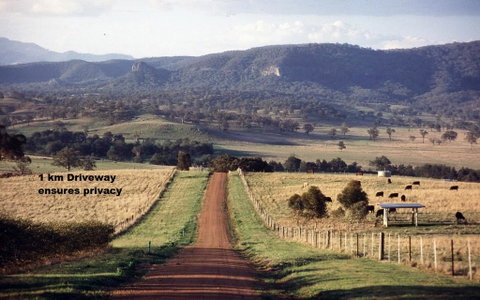 LeCamah Hill - Foster Accommodation 2