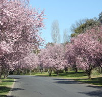 Leo's Rest Bathurst NSW - Foster Accommodation