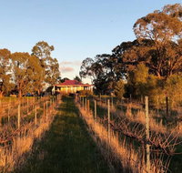 Lillicur Vineyard BB - Foster Accommodation