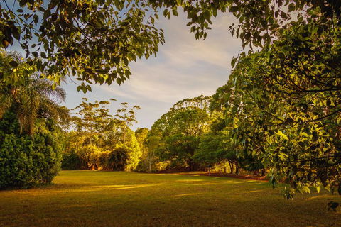 Malanda Lodge - Foster Accommodation 1