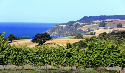 Mallavale Farm, Boat Harbour - Foster Accommodation 0
